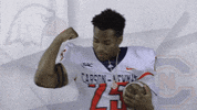 Carson Newman Football GIF by Carson-Newman Athletics