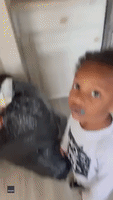 Hilarious Kid Denies Eating Cake Despite Damning Evidence on Face