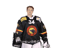 Henauer Sticker by SC Bern