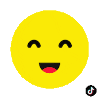 World Cup Football Sticker by TikTok