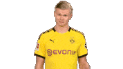Happy Football Sticker by Bundesliga