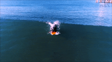 LX_GIFS surfing socal lx GIF