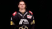 Hockey Del2 GIF by Krefeld Pinguine