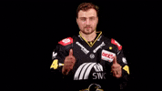 Hockey Del2 GIF by Krefeld Pinguine