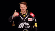 Hockey Del2 GIF by Krefeld Pinguine