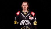 Hockey Del2 GIF by Krefeld Pinguine