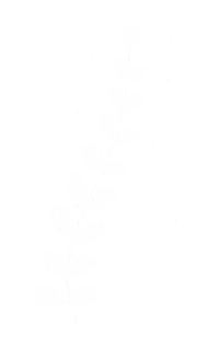 Plant Line Sticker