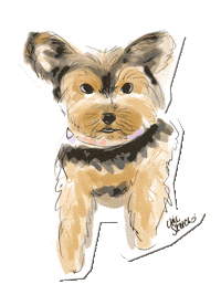 ChicSketch girl fashion new post swipe up Sticker