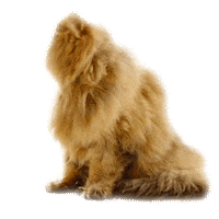 mmb monetakocour Sticker by MonetaMoneyBank