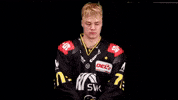 Hockey Del2 GIF by Krefeld Pinguine