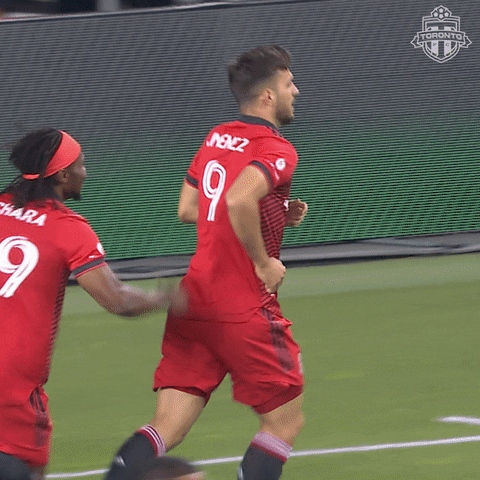 Happy Bmo Field GIF by Toronto FC