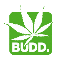 GetBudd cbd bud budd budd cbd Sticker