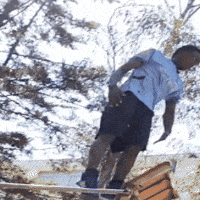 Fly Flying GIF