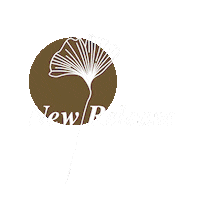 Flower Gingko Sticker by Stereo Productions