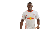 Oh Yeah Yes Sticker by RB Leipzig