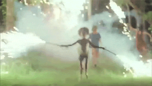beasts of the southern wild GIF