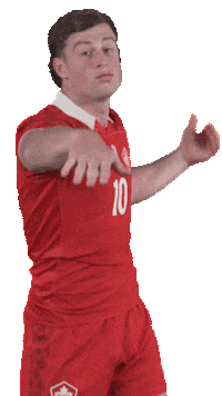 Happy Dance Sticker by World Rugby