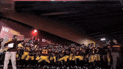 Football Fight On GIF by USC Trojans