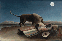 Sleepy Art GIF by Barbara Pozzi