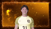 Cnms GIF by Carson-Newman Athletics