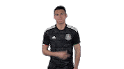 mexico national team football Sticker by MiSelecciónMX