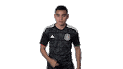 mexico national team football Sticker by MiSelecciónMX