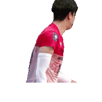 Player Volleyball Sticker by kovopr