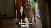 season 3 true dromance GIF by Workaholics