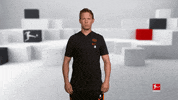 Posing Line Up GIF by Bundesliga