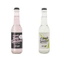 Spritzer Leobersdorf Sticker by Weingut Dungel
