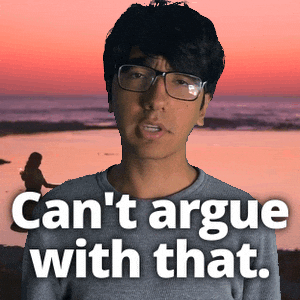 Makes Sense Spot On GIF