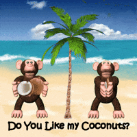 Palm Trees Monkeys GIF