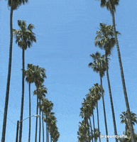CountyofLA sky la los angeles hollywood GIF