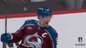 Happy National Hockey League GIF by NHL