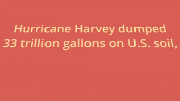 history pbs GIF