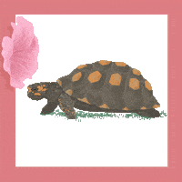 flower saint Sticker by Cheval Blanc Randheli