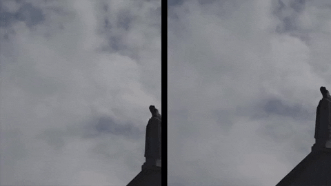 Art Film GIF by jorgemariozuleta