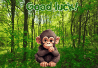Monkey Expressions GIF