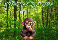 Monkey Expressions GIF