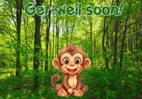 Monkey Expressions GIF