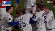 Chicago Cubs Win GIF by TheDreamTeam 