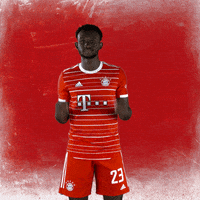 Awesome Well Done GIF by FC Bayern Munich