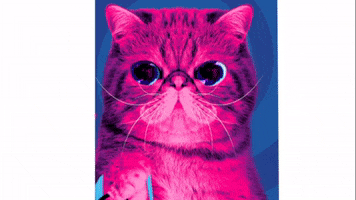 GIF by Sketchie.