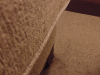 GIF by Westhoffenator