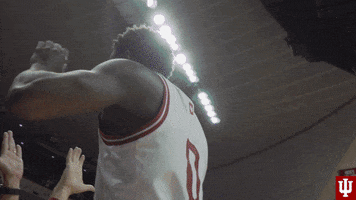 High Five College Sports GIF by Indiana Hoosiers