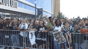 bucks sports basketball nba fans GIF