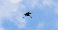 Jump Falling GIF by Junior Mesa