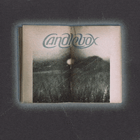 GIF by Black Hill Records