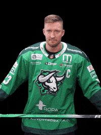 Hockey Bulls GIF by HC Nove Zamky