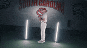 Hitting South Carolina GIF by gamecocksonline